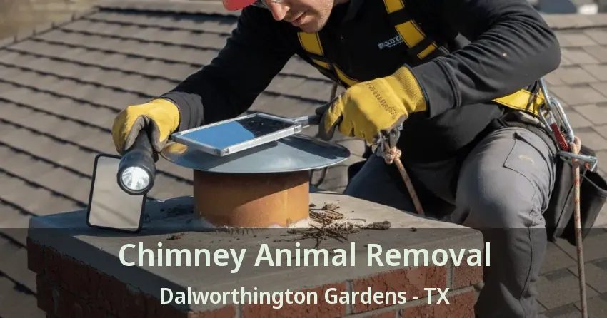 Chimney Animal Removal Dalworthington Gardens - TX