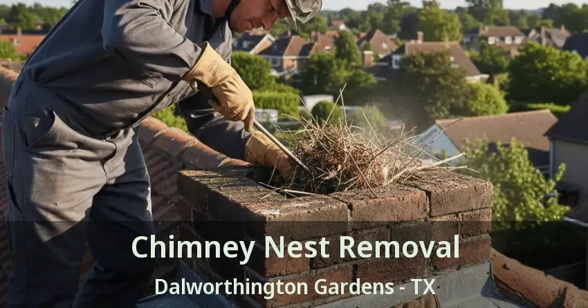 Chimney Nest Removal Dalworthington Gardens - TX