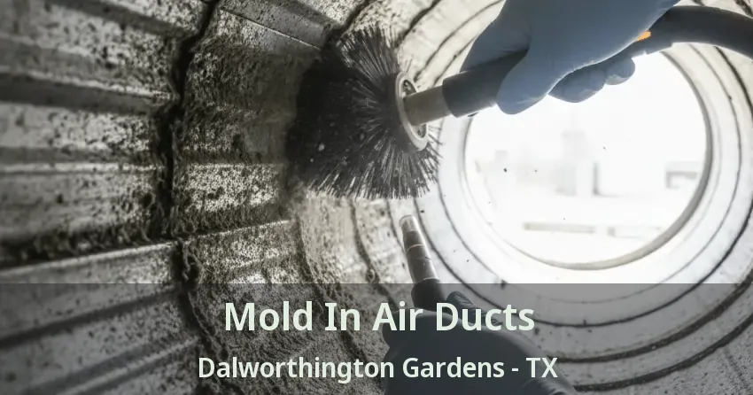 Mold In Air Ducts Dalworthington Gardens - TX