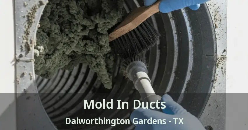 Mold In Ducts Dalworthington Gardens - TX