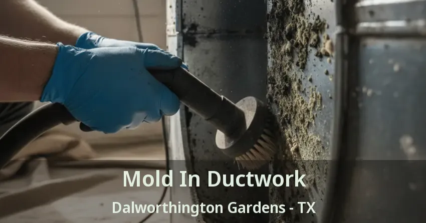 Mold In Ductwork Dalworthington Gardens - TX