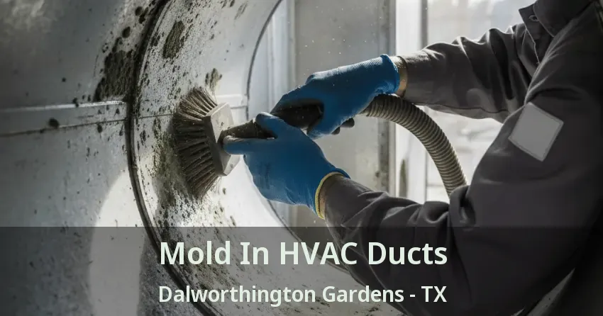 Mold In HVAC Ducts Dalworthington Gardens - TX