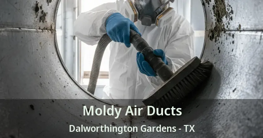 Moldy Air Ducts Dalworthington Gardens - TX